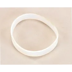 Bloomfield 2I-70139 Gasket, Spray Head