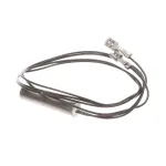 Wells 2J-306681 Temperature Probe, BWB-1S