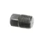 Lang 2K-70308-01 Pipe Plug, 1/8" NPT, Black