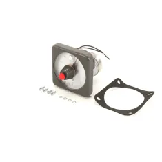 Wells 2P-Z13854 Timer, 40 Minute, 240V, DPST