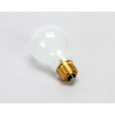 Wells 2S-305100 Light Bulb, Frosted, 230V, 100W