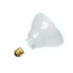 2S-8337 Star Mfg - Infrared Heat Lamp 120V 250W