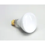 Star - 2S-Y4584 - Lamp 65-75W Rflr Flood
