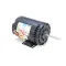Lang 2U-30200-15 Motor, Convevection Blower, 115/230V, 1/3 HP
