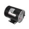 Wells 2U-Z13724 FILTER MOTOR, 230V CW