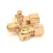 Tri-Star Manufacturing 2V-R3020A Pilot Adjestment Valve, Dual, 1/8-27 x 3/16"