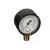 3-BM15 Crown Steam