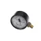 Crown Steam 3-PG30 PRESSURE GAUGE