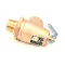 Crown Steam 3-SRV3 Pressure Relief Valve, 15 PSI, 3/4"