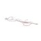 Ojeda 300396036 6 LEDS LAMP 346 MM, BOTTOM (2)