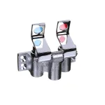 Eagle-Metal Masters 300604 Double Foot Valve, 1/2" NPT