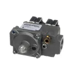 Atosa 301030074 DOUBLE SOLENOID VALVE-LPG
