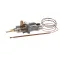 Saturn 302220045 GAS CONTROL VALVE (THERMO)