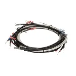 Henny Penny 30257 ASSY - LEAD WIRE