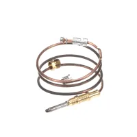 309879 Eagle-metal Masters