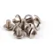 Antunes 310P103 Screw, 10-32 X 1/4", 10 Pack