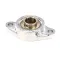 Jackson 3120-002-69-31 Bearing Assembly, 2 Bolt Flange
