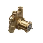 Cornelius 312996000 Pump, Water, 100 GPH, 250 PSI