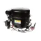 Grindmaster Cecilware 3253 Compressure, 115V, 60HZ, R134A, Kulthorn