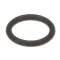 WMF 3303953000 O-RING, 9.25X1.78 EPDM