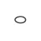 WMF 3303955000 O-Ring, 17.12 x 2.62 EPDM