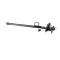 WMF 3328976099 AUTOSTEAM