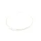 Schaerer 3370070993 Hose, 2.5/4 PFA