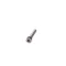 Schaerer 3371001022 HEX SOCKET CAP SCR. M4X20 INOX