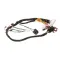 Power Soak Systems Inc 33713 Wire Harness, Internal to Control Panel, PS-225