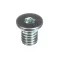 Schaerer 3371999009 HEX SOCKET CAP SCR. L.H. M6X8 GALV.