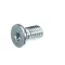 Schaerer 3371999010 Hex Socket Cap Screw, ELH, M6 x 10, GLVB