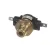 338309 Eagle-metal Masters
