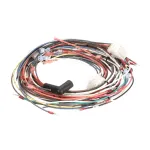 Tri-Star Manufacturing 340332 Wire Harness Assembly, Gas Convection Oven