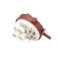 Rancilio 34200061 PRESSURE SWITCH