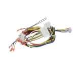 Blodgett 34435 Wire Harness, IQ Control, CTBKFC