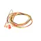 Blodgett 34470 Fuse, 250V, 50MW, European Conformity
