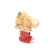 Eagle-Metal Masters 349785 Solenoid Valve, 208/240V