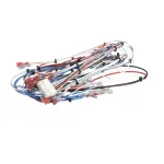 Bunn 38040.0029 WIRING HARNESS, MAIN ICB TWIN SH