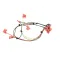 Bunn 38941.0000 Wire Harness, Door Switches