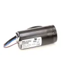 Bunn 39152.0000 CAPACITOR ASSEMBLY, 230V (T2168)
