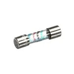 Stoelting 394273 FUSE 5A 5X20