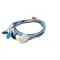 Rational 40.04.597 Wire Harness, A2 / X19 > Y1, Y2, Y3 + X75 > Y4, M12, M5, SCC WE 61-102