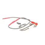Cleveland 4056951 Ignition and Ground Eletrode, Boiler, Convotherm 4
