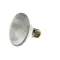Gold Medal Products 41979S 60W FLOOD SHORT COATED