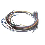 Crown Steam 4204-9 WIRE HARNESS, ELEMENTS