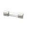 Garland 4522739 Fuse, 125 Volt, 5 Amp, 5 x 20MM