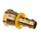 Jackson 4730-011-93-99 FITTING, 1/2 PUSHLOK FEMALE BRASS