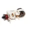 Hoshizaki 4A2135-01 Start Relay, #117U406