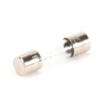 Fuse for Hoshizaki Part# 4A3804-01