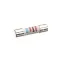 Robot Coupe 500537 Fuse, Primary, 9/24A
